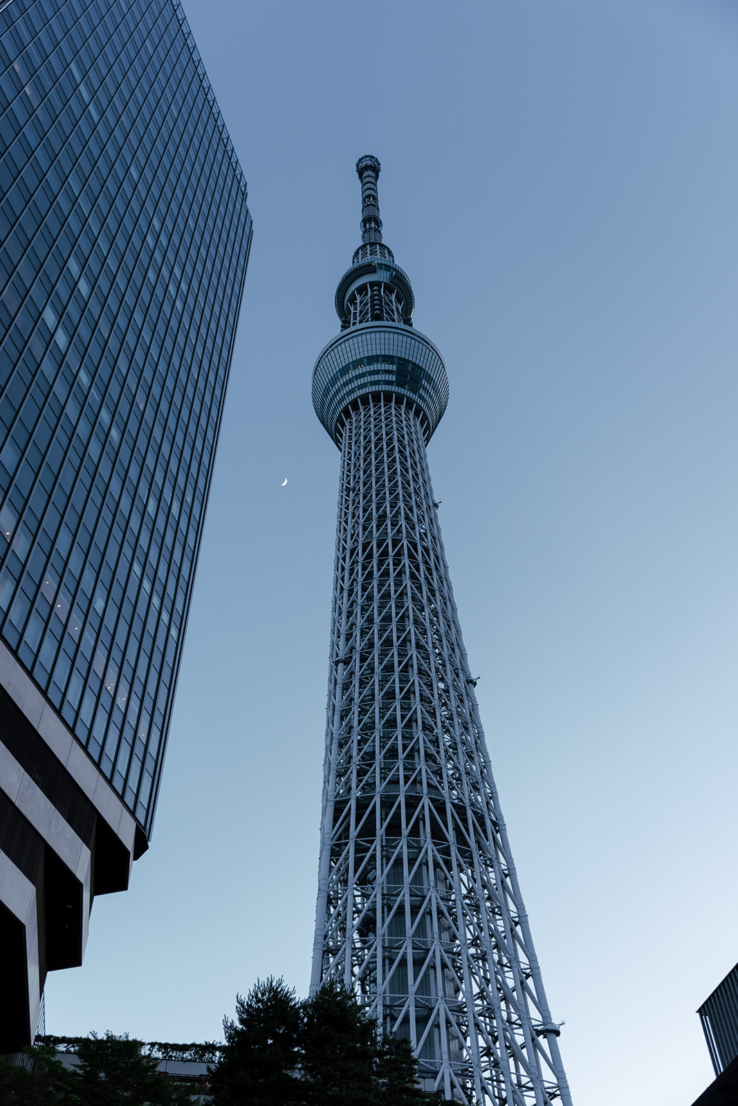 Skytree