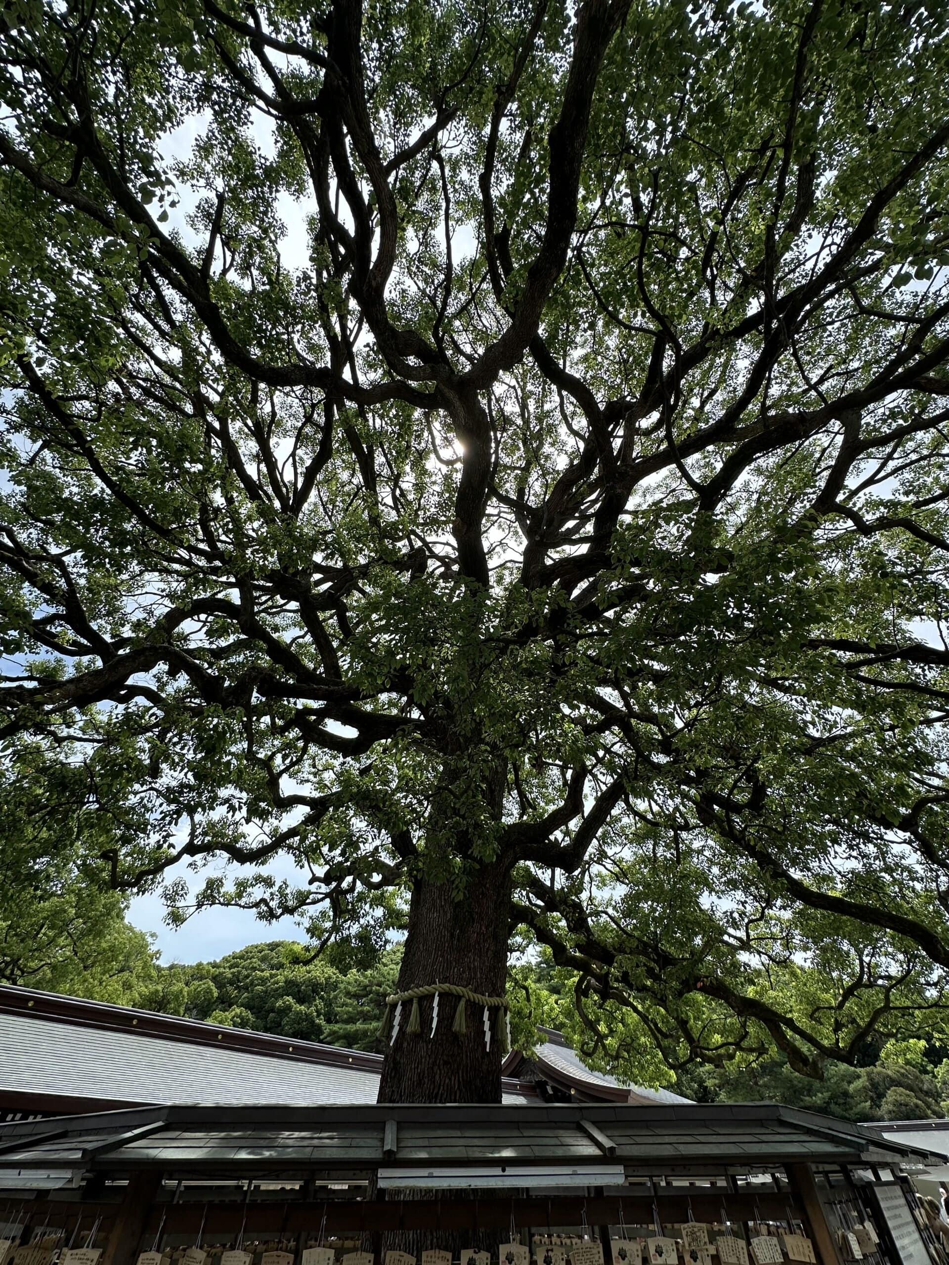 Santuario Meiji