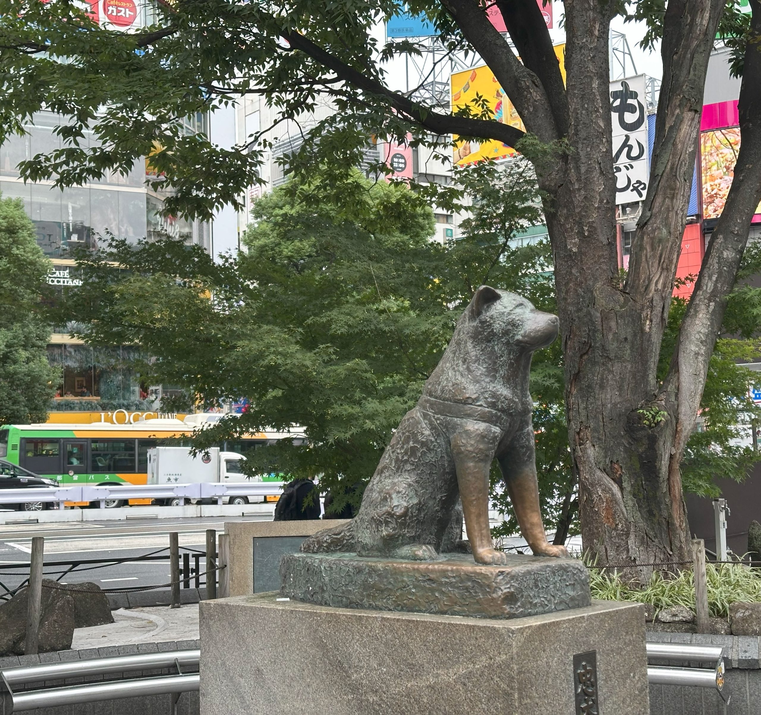 Hachiko