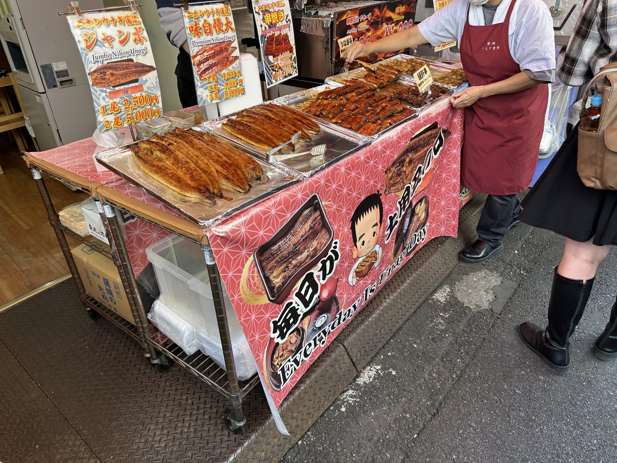 Anguila conocido como Unagi